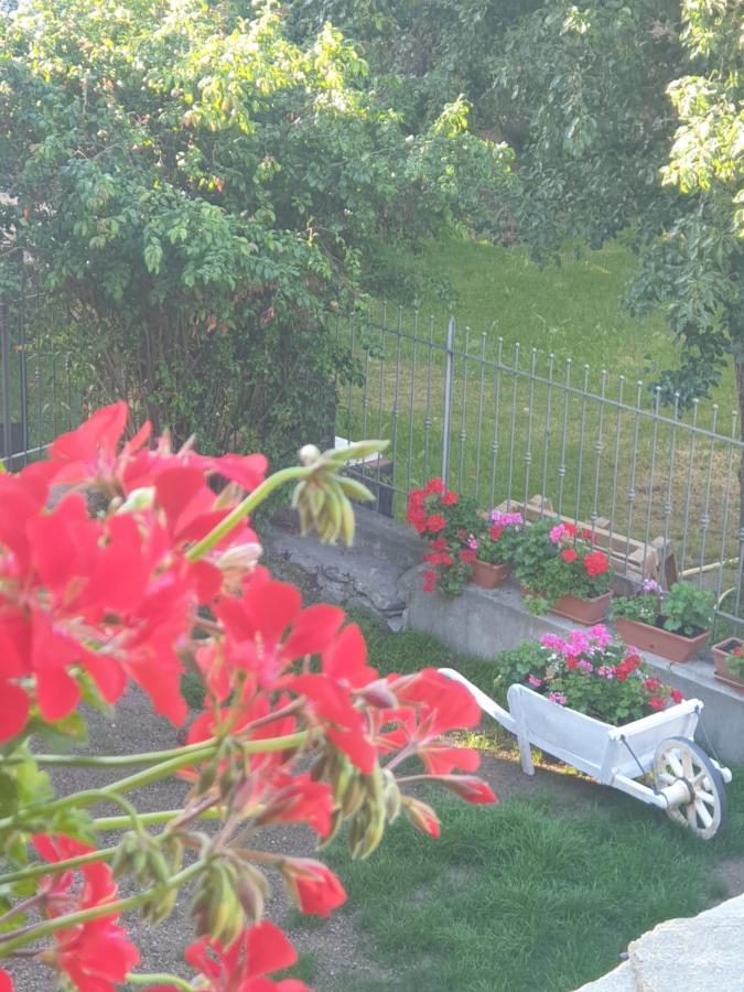 Antica Casa Occitana Bed and Breakfast Sampeyre Εξωτερικό φωτογραφία